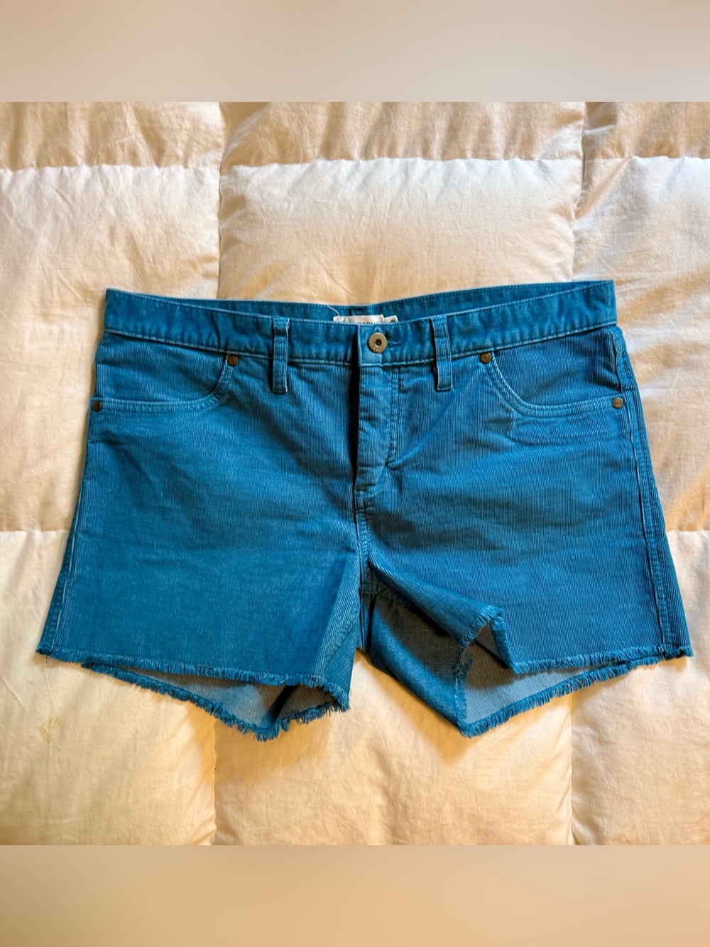 Carve Designs Oahu 4" Shorts Pacifica Blue Size 10 | Excellent Condition
